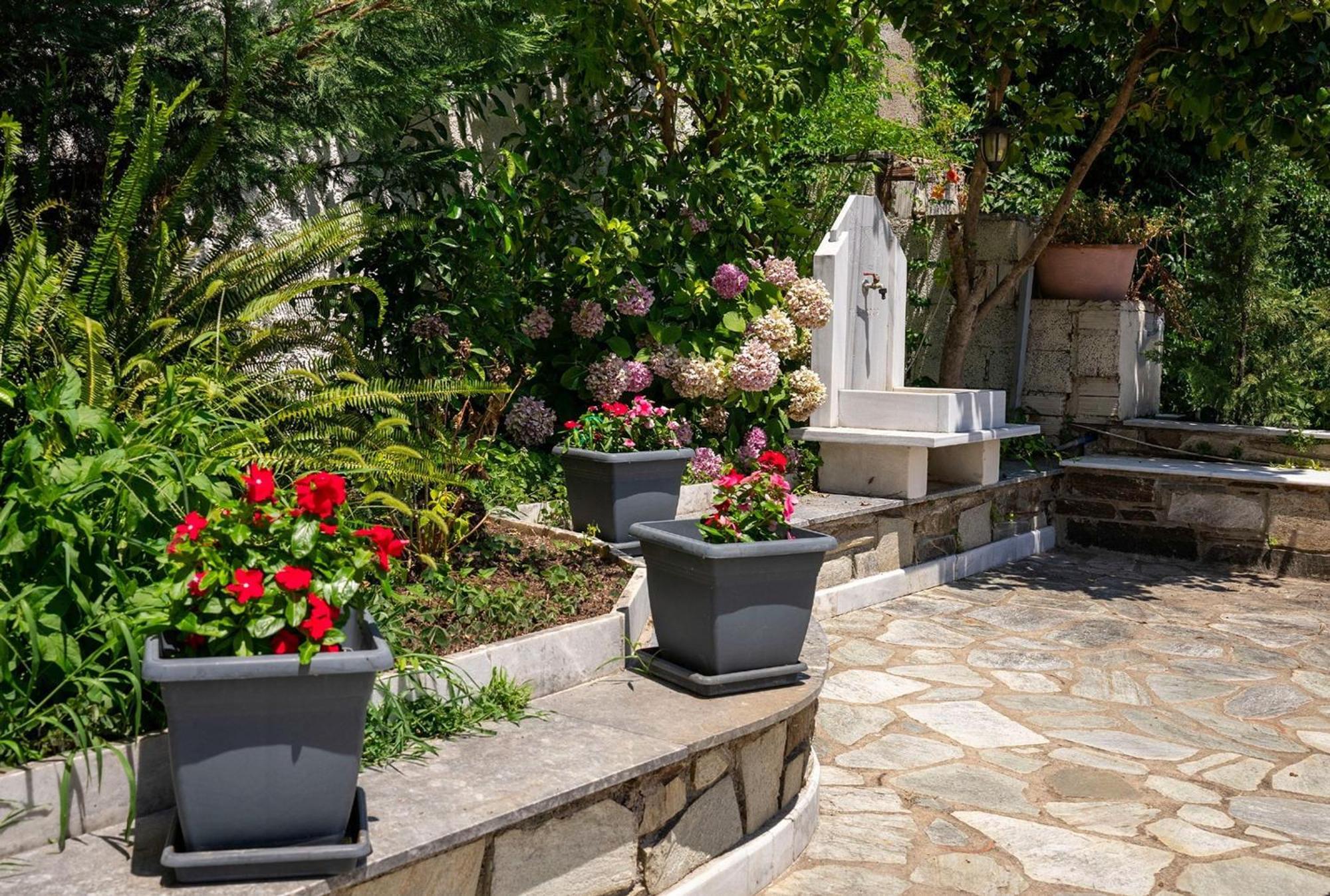 Paradeisos Rooms Pelion Áyios Dhimítrios Exterior foto